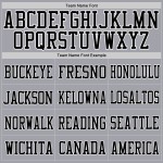 Trikot Light Football Custom Grau Authentic Mesh Schwarz-Weiß Trikot Light Football Custom Grau Authentic Mesh Schwarz-Weiß